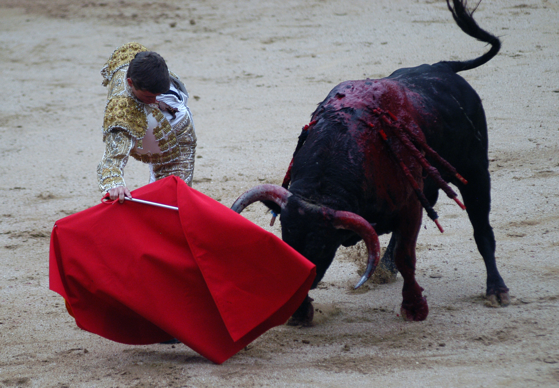 Corrida de toros. Las Ventas Madrid/Espanha.